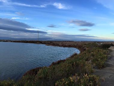 Holiday Apartment in sant carles de la rapita (Tarragona) or holiday homes and vacation rentals