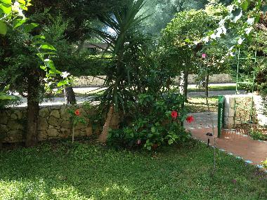 Holiday House in Torre inserraglio (Lecce) or holiday homes and vacation rentals