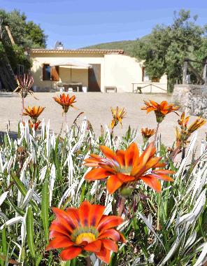 Villa in Gaeta (Latina) or holiday homes and vacation rentals