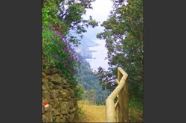 Bed and Breakfast in levanto (La Spezia) or holiday homes and vacation rentals