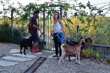 Holiday House in Mikhmoret (HaMerkaz (Central)) or holiday homes and vacation rentals