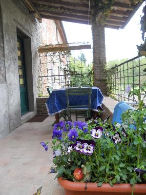 Holiday House in Pescia (Pistoia) or holiday homes and vacation rentals