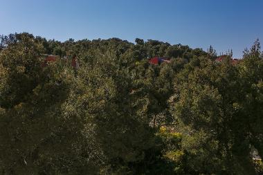 Holiday Apartment in Okrug Gornji (Splitsko-Dalmatinska) or holiday homes and vacation rentals