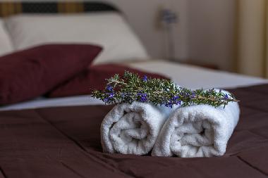 Holiday Apartment in Okrug Gornji (Splitsko-Dalmatinska) or holiday homes and vacation rentals