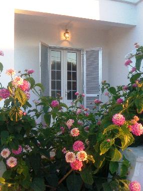 Holiday House in Santa Maria di Leuca (Lecce) or holiday homes and vacation rentals