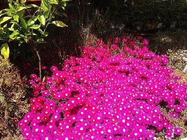 Holiday Apartment in BENAOJAN (Mlaga) or holiday homes and vacation rentals