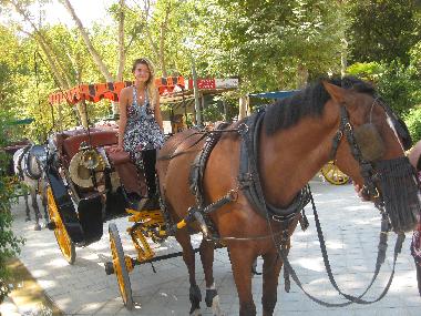 Holiday House in bormujos sevilla (Sevilla) or holiday homes and vacation rentals