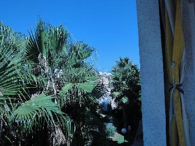 Holiday Apartment in Torrevieja (Murcia) or holiday homes and vacation rentals