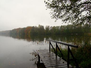 Holiday House in Schnfeld Mhle (Mecklenburg-Schwerin) or holiday homes and vacation rentals