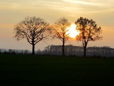 Holiday House in Schnfeld Mhle (Mecklenburg-Schwerin) or holiday homes and vacation rentals