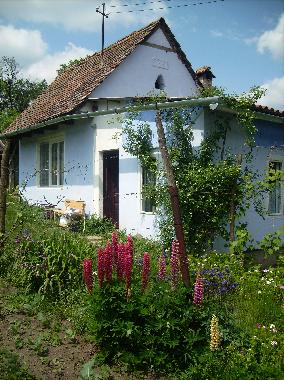 Holiday House in Roandola (Sibiu) or holiday homes and vacation rentals