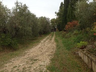 Holiday House in FANO (Pesaro e Urbino) or holiday homes and vacation rentals