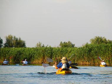 Holiday House in Somova (Tulcea) or holiday homes and vacation rentals