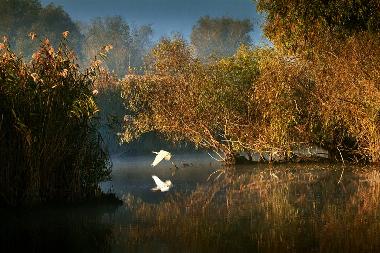 Holiday House in Somova (Tulcea) or holiday homes and vacation rentals