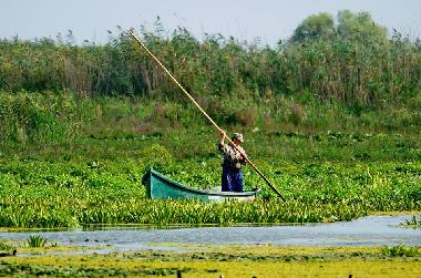 Holiday House in Somova (Tulcea) or holiday homes and vacation rentals