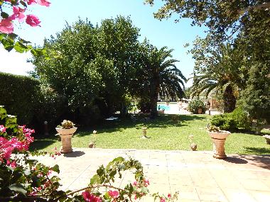 Villa in MARKOPOULO (Attiki) or holiday homes and vacation rentals
