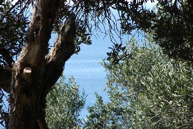 Holiday Apartment in Dubrovnik (Dubrovacko-Neretvanska) or holiday homes and vacation rentals