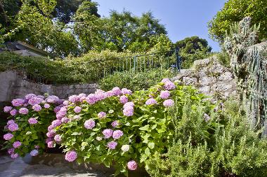 Holiday Apartment in Dubrovnik (Dubrovacko-Neretvanska) or holiday homes and vacation rentals