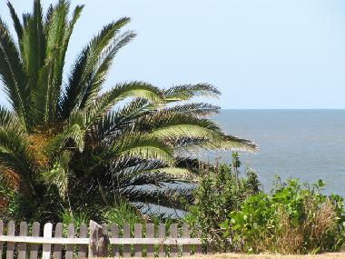 Holiday House in La Floresta (Canelones) or holiday homes and vacation rentals