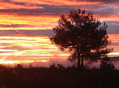 Holiday House in Caseneuve (Vaucluse) or holiday homes and vacation rentals