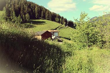 Holiday Apartment in Villnss (Bolzano-Bozen) or holiday homes and vacation rentals