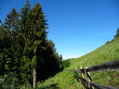 Holiday Apartment in Villnss (Bolzano-Bozen) or holiday homes and vacation rentals