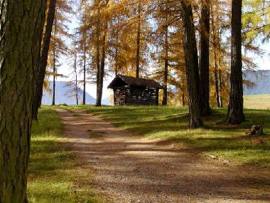 Holiday Apartment in Wildermieming (Tiroler Oberland) or holiday homes and vacation rentals