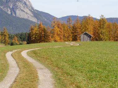 Holiday Apartment in Wildermieming (Tiroler Oberland) or holiday homes and vacation rentals