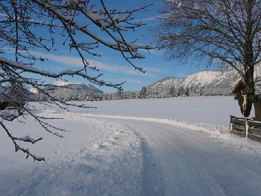 Holiday Apartment in Wildermieming (Tiroler Oberland) or holiday homes and vacation rentals