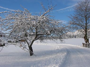 Holiday Apartment in Wildermieming (Tiroler Oberland) or holiday homes and vacation rentals