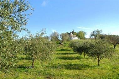 Holiday House in Martina Franca (Taranto) or holiday homes and vacation rentals