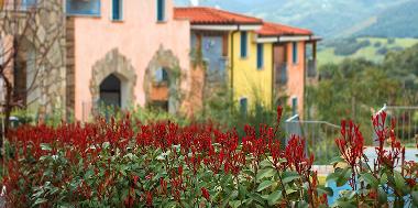 Holiday Apartment in Valledoria (Sassari) or holiday homes and vacation rentals