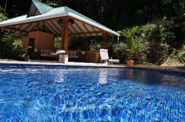 Villa in Puntarenas (Puntarenas) or holiday homes and vacation rentals
