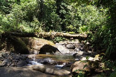 Villa in Puntarenas (Puntarenas) or holiday homes and vacation rentals