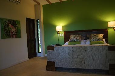 Villa in Puntarenas (Puntarenas) or holiday homes and vacation rentals