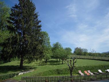 Back garden with sun deck and loungers