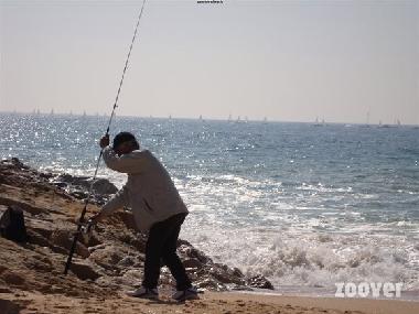 Holiday Apartment in Quarteira (Algarve) or holiday homes and vacation rentals