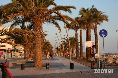 Holiday Apartment in Quarteira (Algarve) or holiday homes and vacation rentals