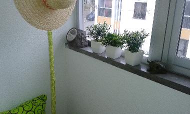Holiday Apartment in Santiago do Cacm (Alentejo Litoral) or holiday homes and vacation rentals
