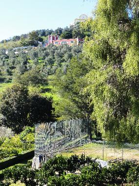 Holiday Apartment in Santiago do Cacm (Alentejo Litoral) or holiday homes and vacation rentals