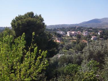 Villa in rafina (Attiki) or holiday homes and vacation rentals
