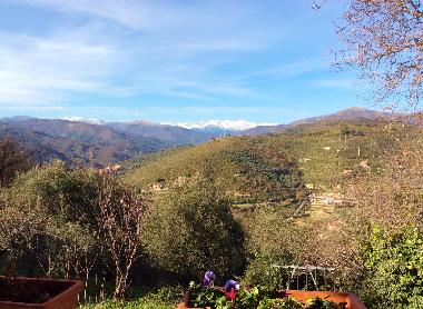 Holiday House in Imperia (Imperia) or holiday homes and vacation rentals