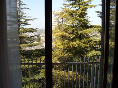 Holiday Apartment in Salsomaggiore terme (Parma) or holiday homes and vacation rentals