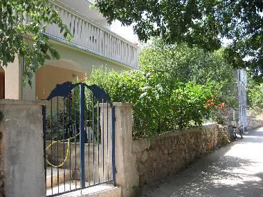 The house