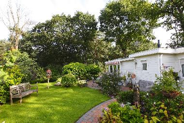 Chalet in Lunteren  (Gelderland) or holiday homes and vacation rentals