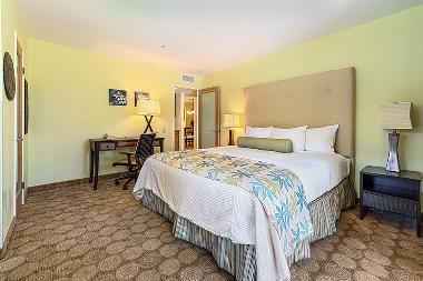 Holiday Apartment in Palm Springs (California) or holiday homes and vacation rentals