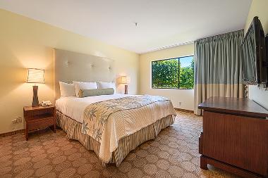 Holiday Apartment in Palm Springs (California) or holiday homes and vacation rentals