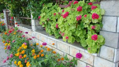 Apartments Marija �urjak