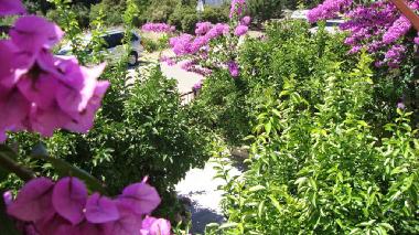 Apartments Marija �urjak