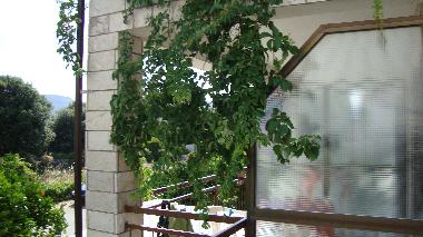 Apartments Marija �urjak